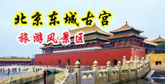 操女比穴视频中国北京-东城古宫旅游风景区